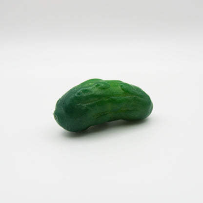 Pickle Magnet